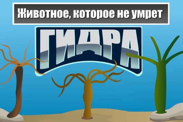 Кракен маркет дарнет только через тор