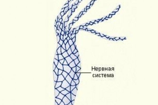 Kraken новые ссылки